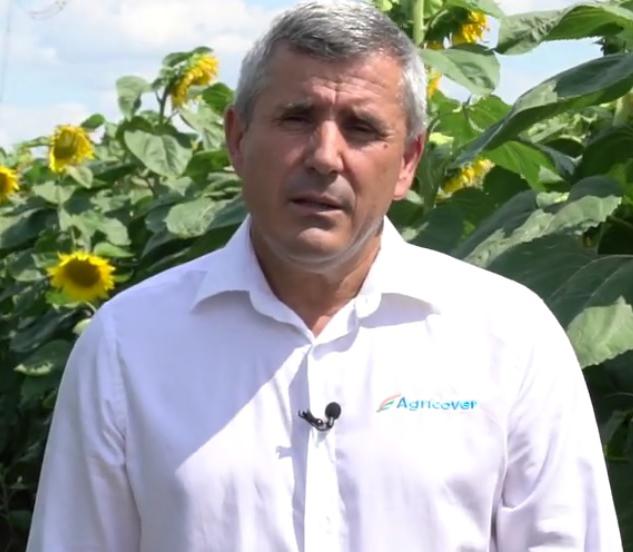 Nelu Marin, Agricover technical consultant, on sunflower treatment scheme